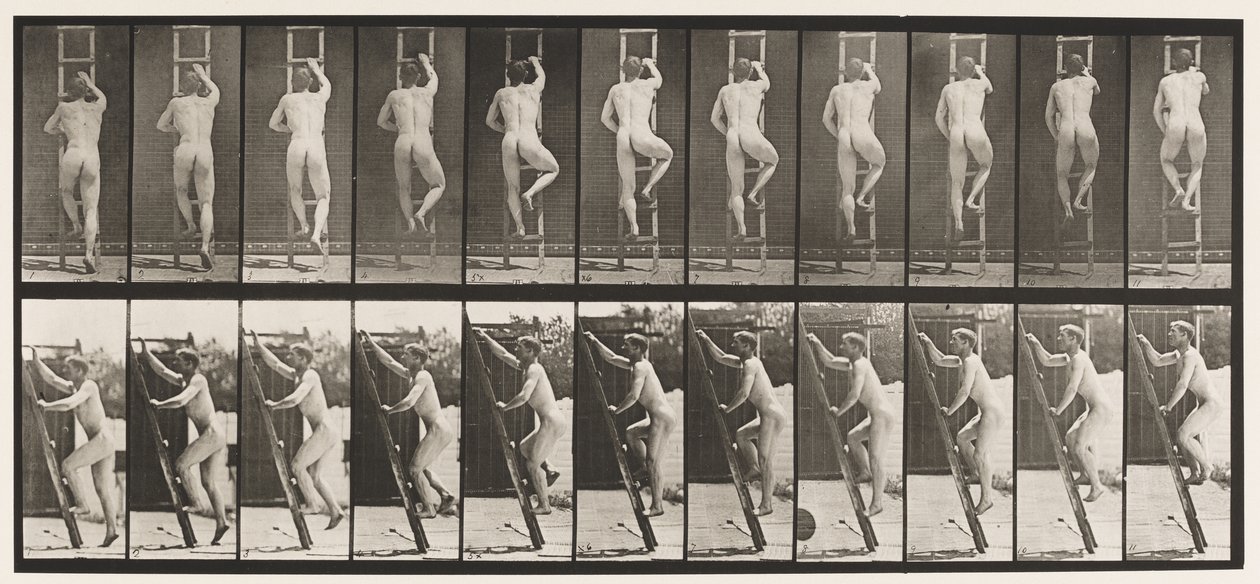 Płyta 111. Drabina wstępująca autorstwa Eadweard Muybridge