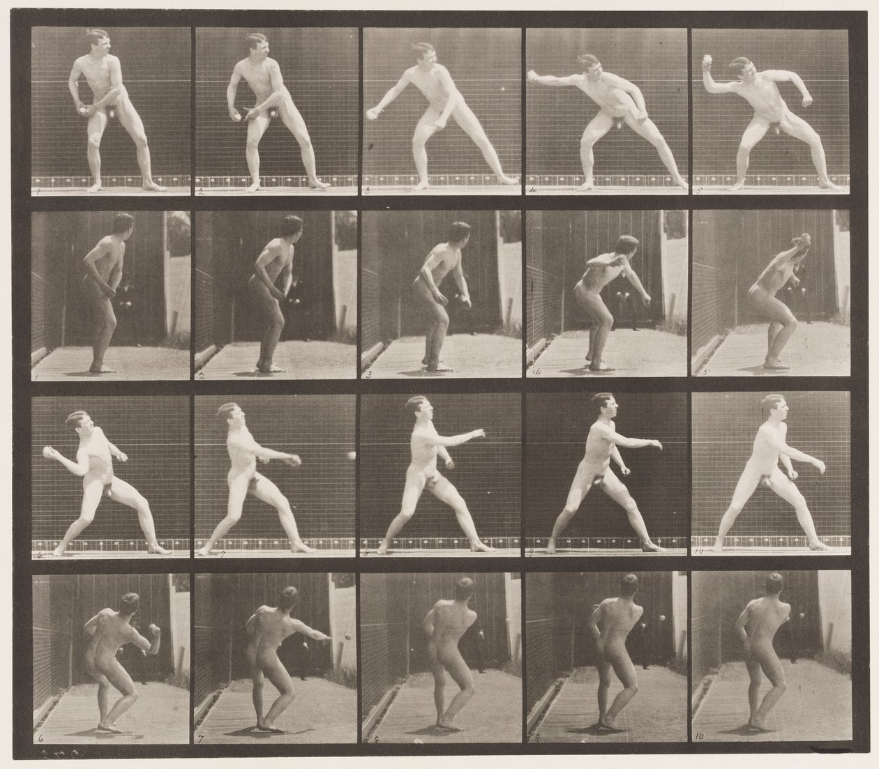 Tabliczka 273. Baseball; Prezentacja autorstwa Eadweard Muybridge