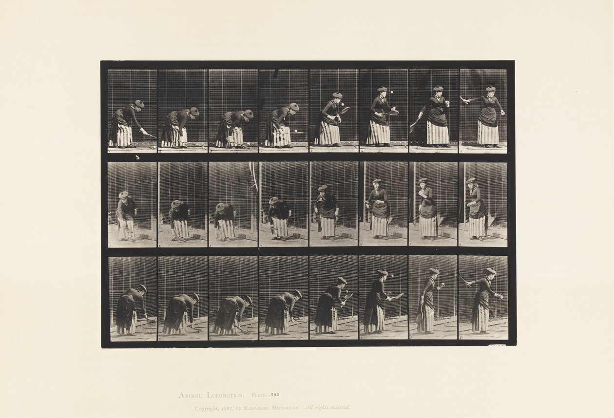 Płyta 295. Tenis na trawniku; Porcja autorstwa Eadweard Muybridge