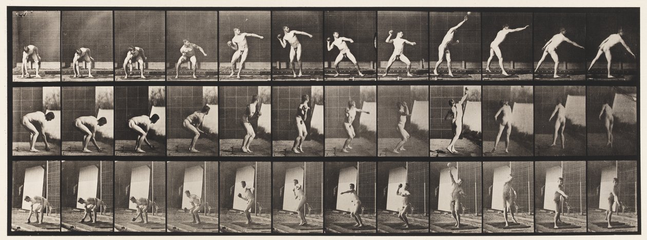 Płyta 310. Oddanie strzału, 1885 autorstwa Eadweard Muybridge