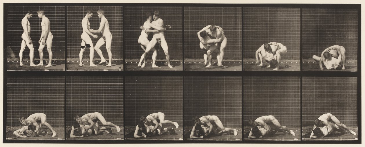 Płyta 345. Zapasy, zamek, 1885 autorstwa Eadweard Muybridge
