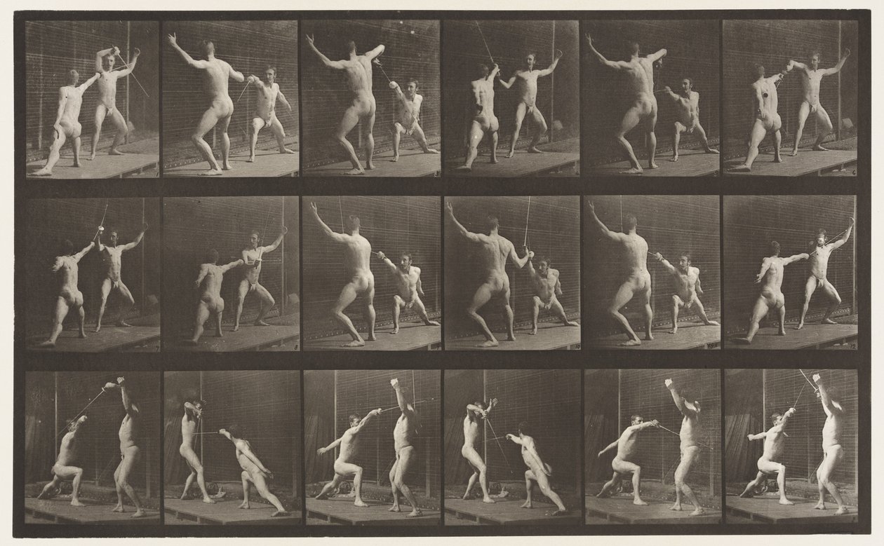 Płyta 350. Ogrodzenie autorstwa Eadweard Muybridge