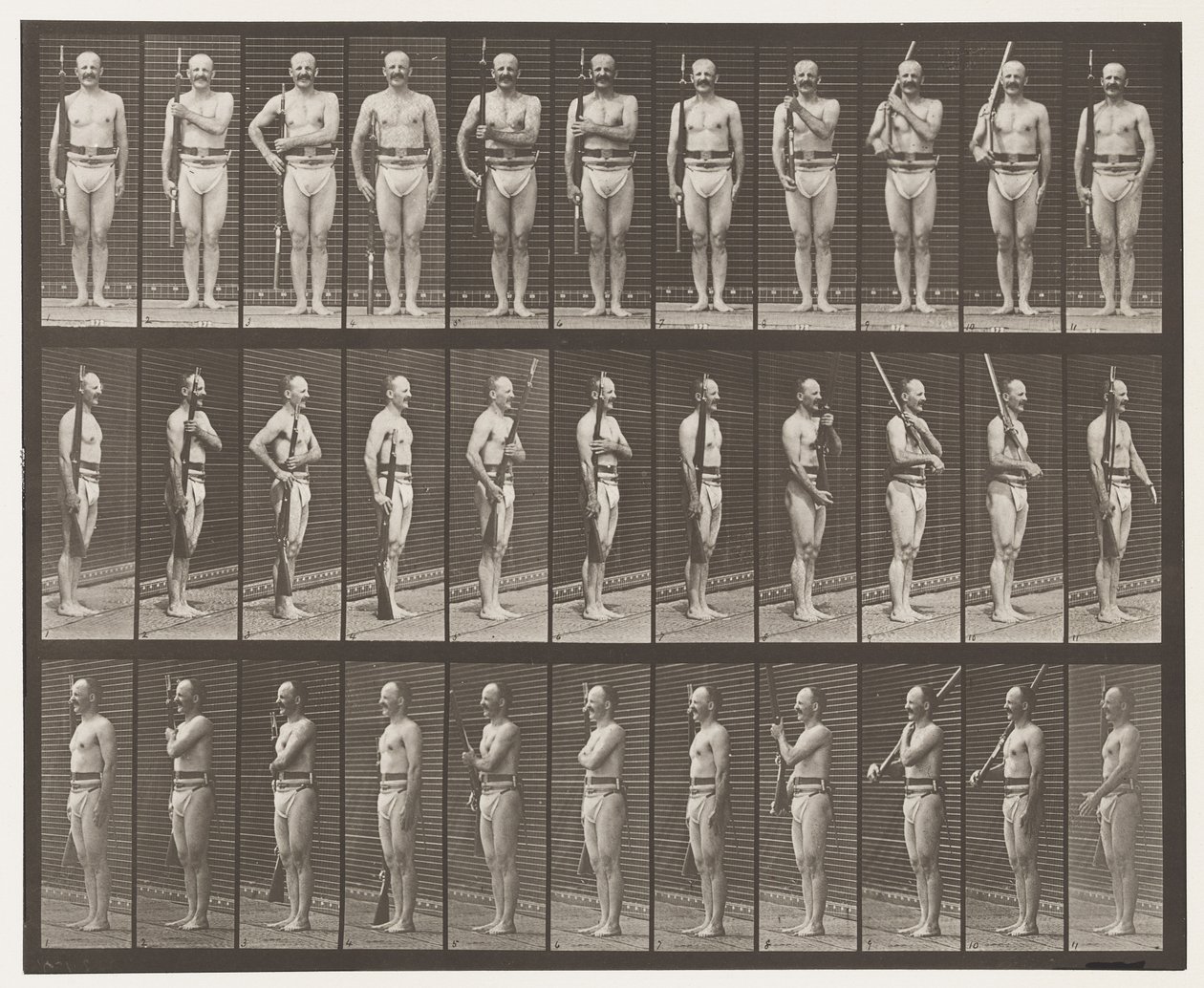 Płyta 352. Ramiona, rozkazy i ramiona do noszenia autorstwa Eadweard Muybridge