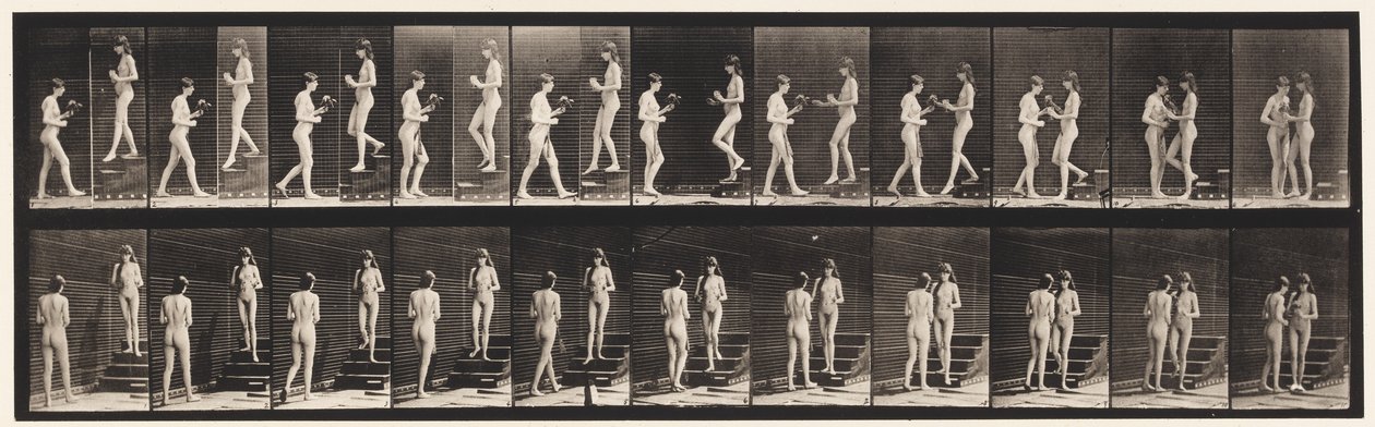 Płyta 448. Dwa modele autorstwa Eadweard Muybridge