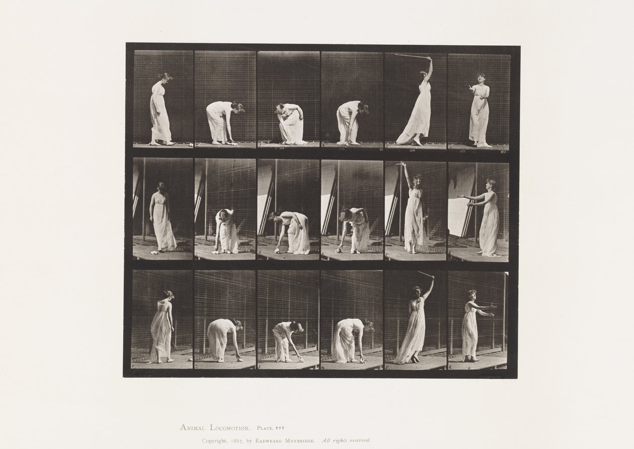 Tabliczka 503. Różne – Pochylanie się itp. autorstwa Eadweard Muybridge