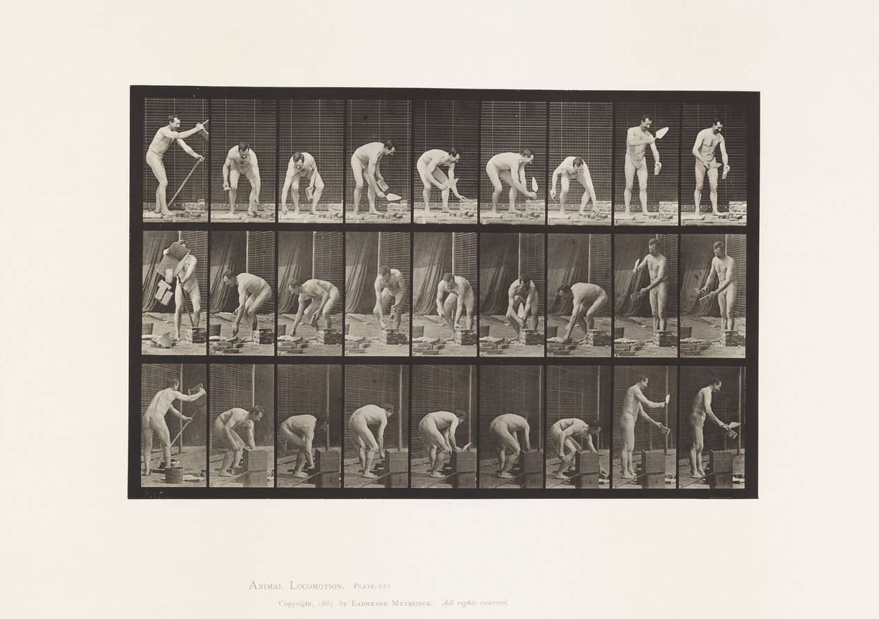 Płyta 505. Murowanie autorstwa Eadweard Muybridge