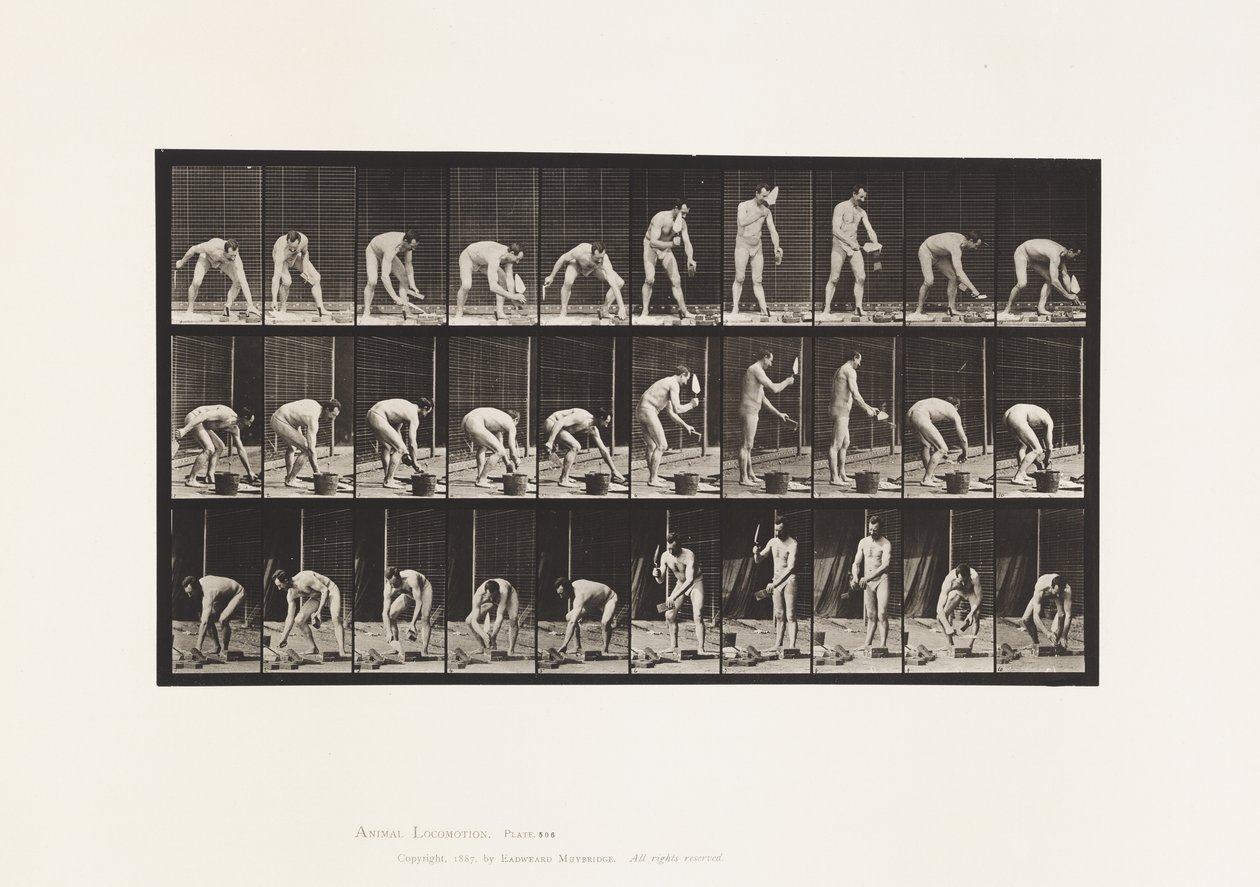 Płyta 506. Murowanie autorstwa Eadweard Muybridge