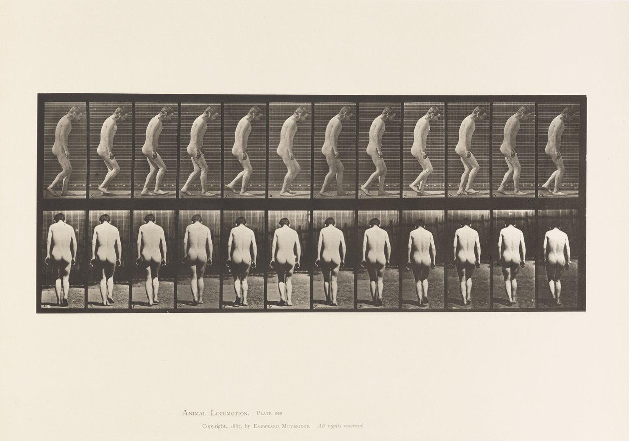 Tabliczka 558.Paraplegia; Częściowy; Spacer, 1885 autorstwa Eadweard Muybridge