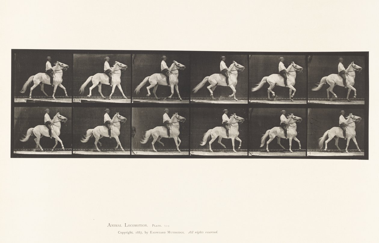Płyta 589.Ambling autorstwa Eadweard Muybridge
