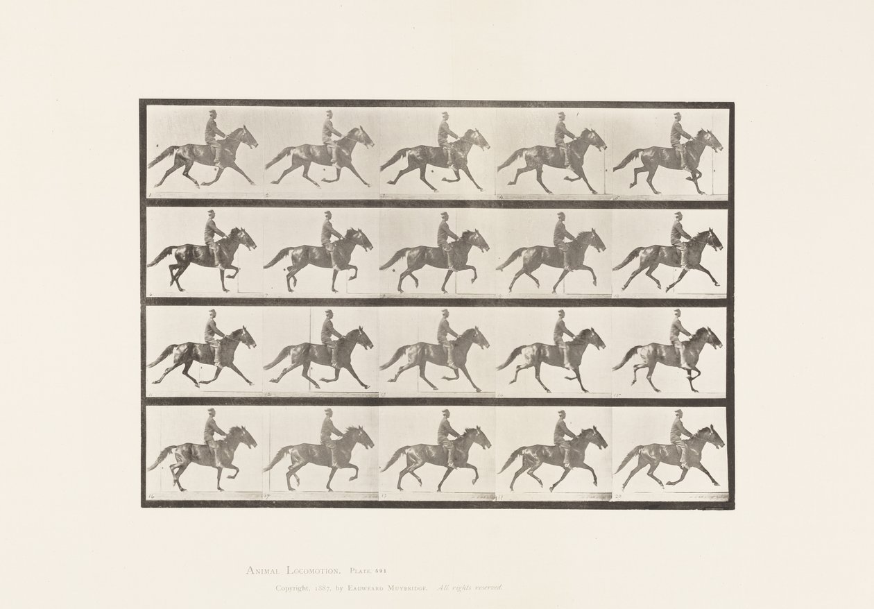 Płyta 591. Kołysanie autorstwa Eadweard Muybridge