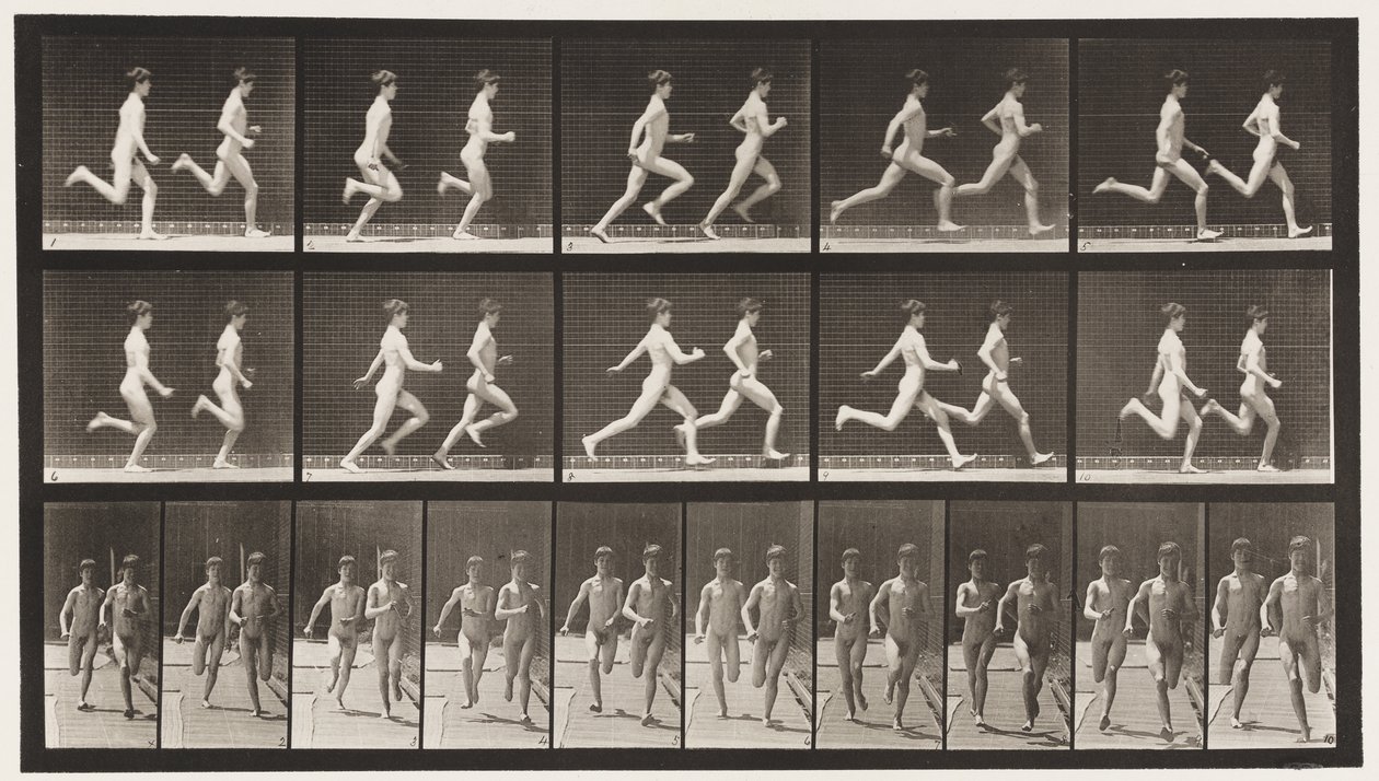 Płyta 69. Uruchamianie dwóch modeli, 1872-1885 autorstwa Eadweard Muybridge