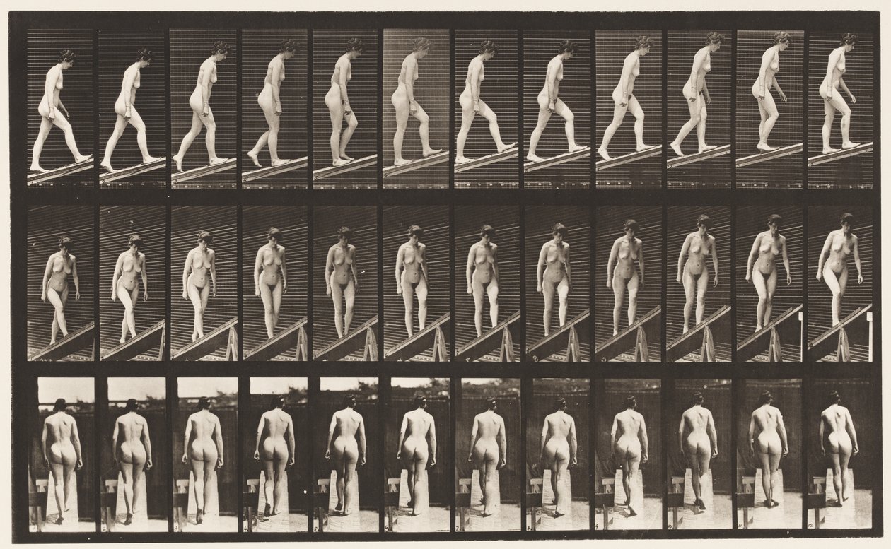 Płyta 76. Wznosząca się nachylenie autorstwa Eadweard Muybridge