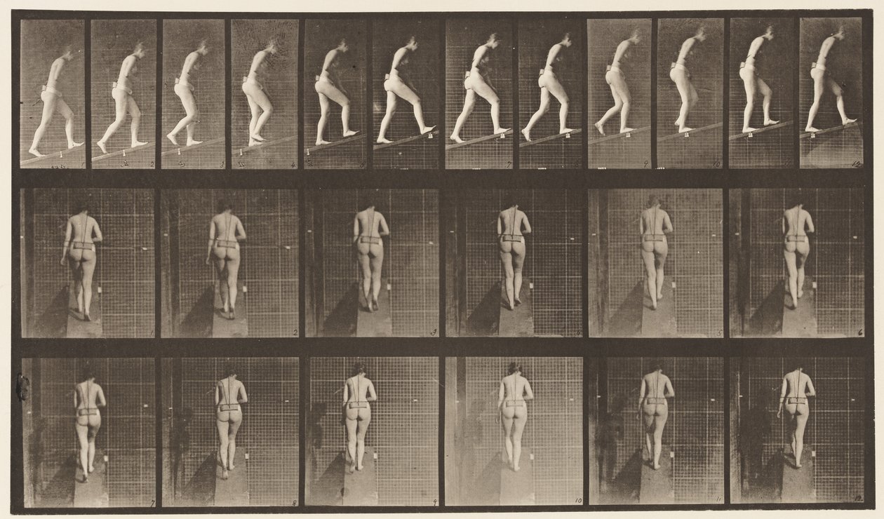 Płyta 79. Wznosząca się nachylenie autorstwa Eadweard Muybridge