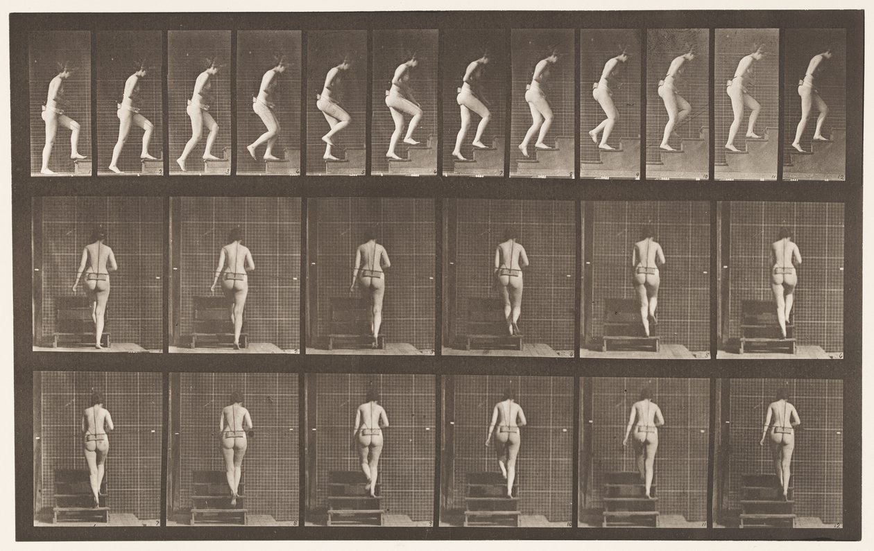 Płyta 93. Wstępujące schody autorstwa Eadweard Muybridge