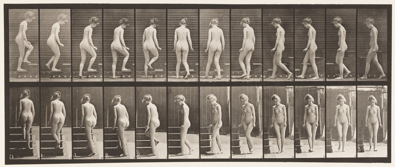 Tablica 98. Schody zakręcane i wstępujące, 1872-1885 autorstwa Eadweard Muybridge