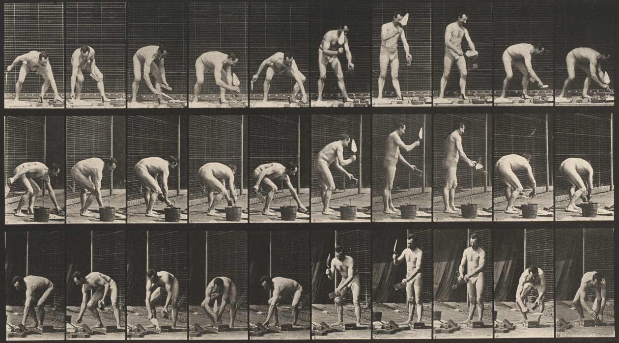 Płyta numer 506. Murowanie, 1887 (zdjęcie) autorstwa Eadweard Muybridge