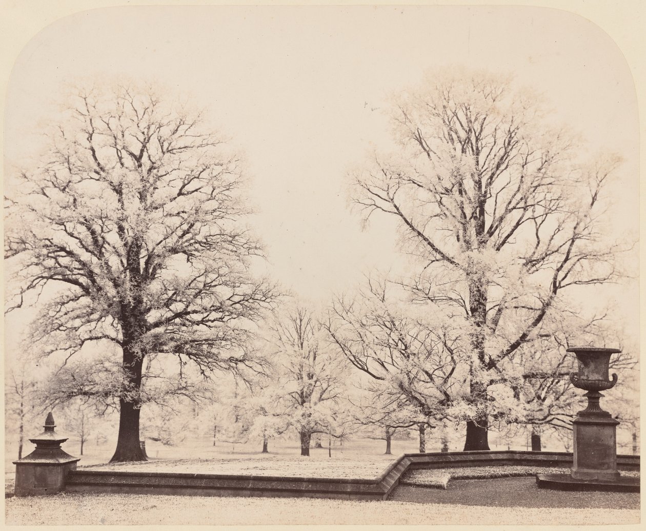 Szron, scena w parku, 1862 (zdjęcie) autorstwa Earl of Caithness