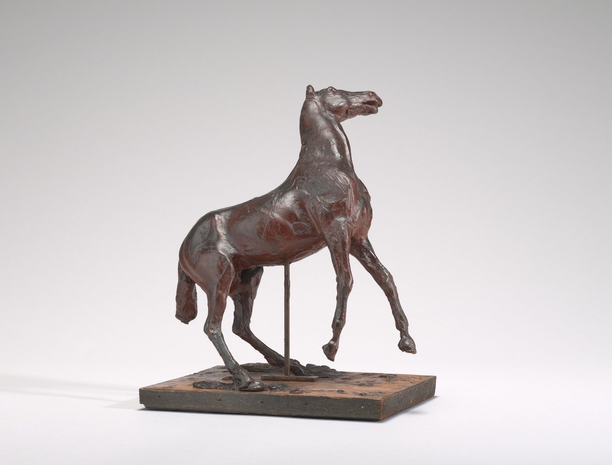 Hodowla koni, lata 80. XIX wieku. autorstwa Edgar Degas