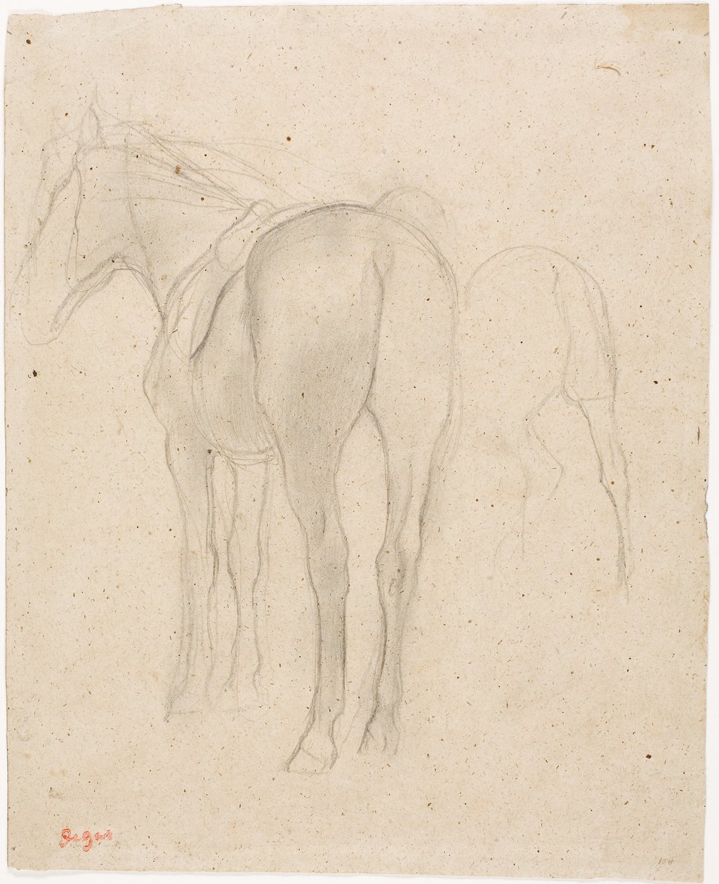 Studia nad koniem autorstwa Edgar Degas