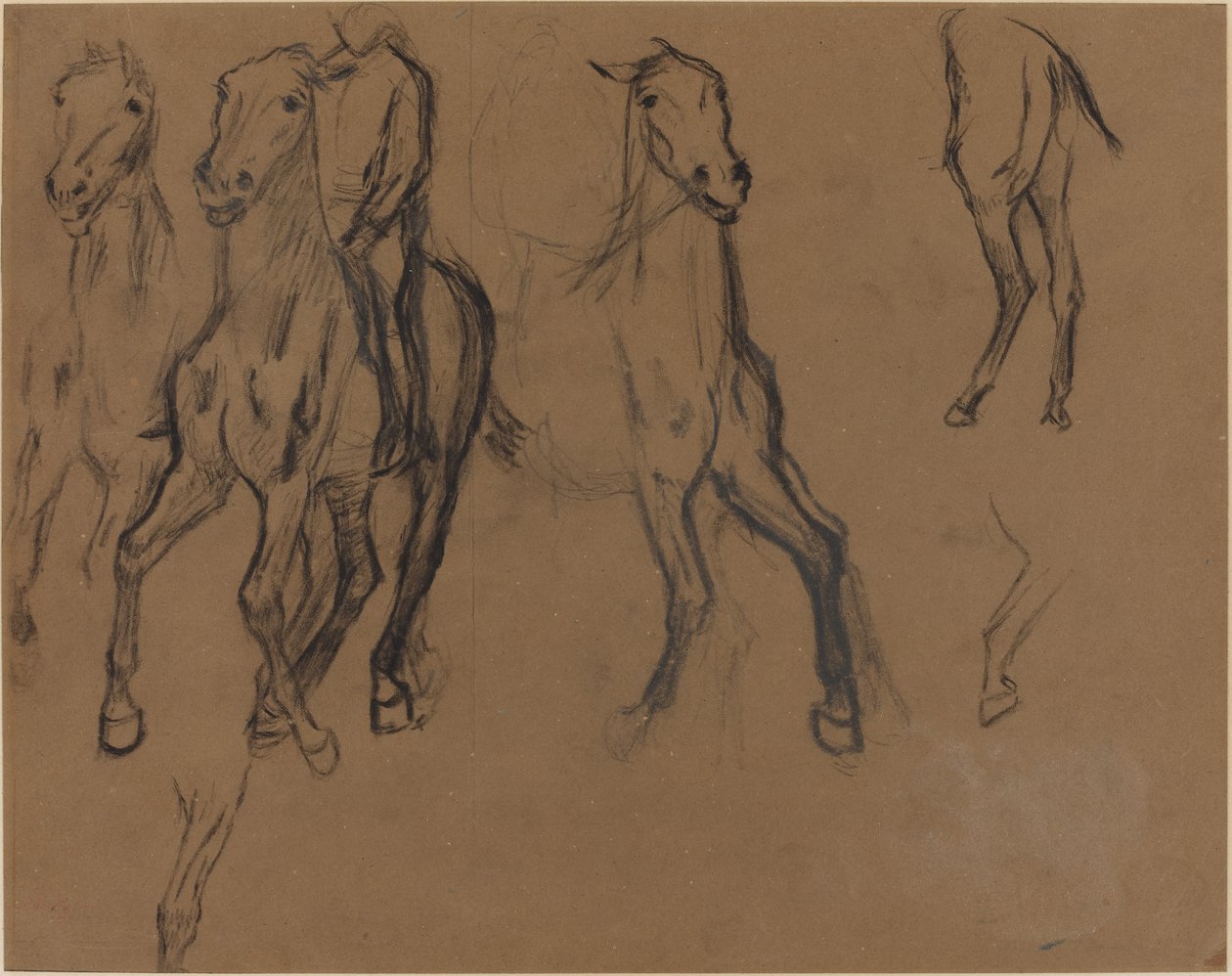 Studium Koni, c. 1886. autorstwa Edgar Degas