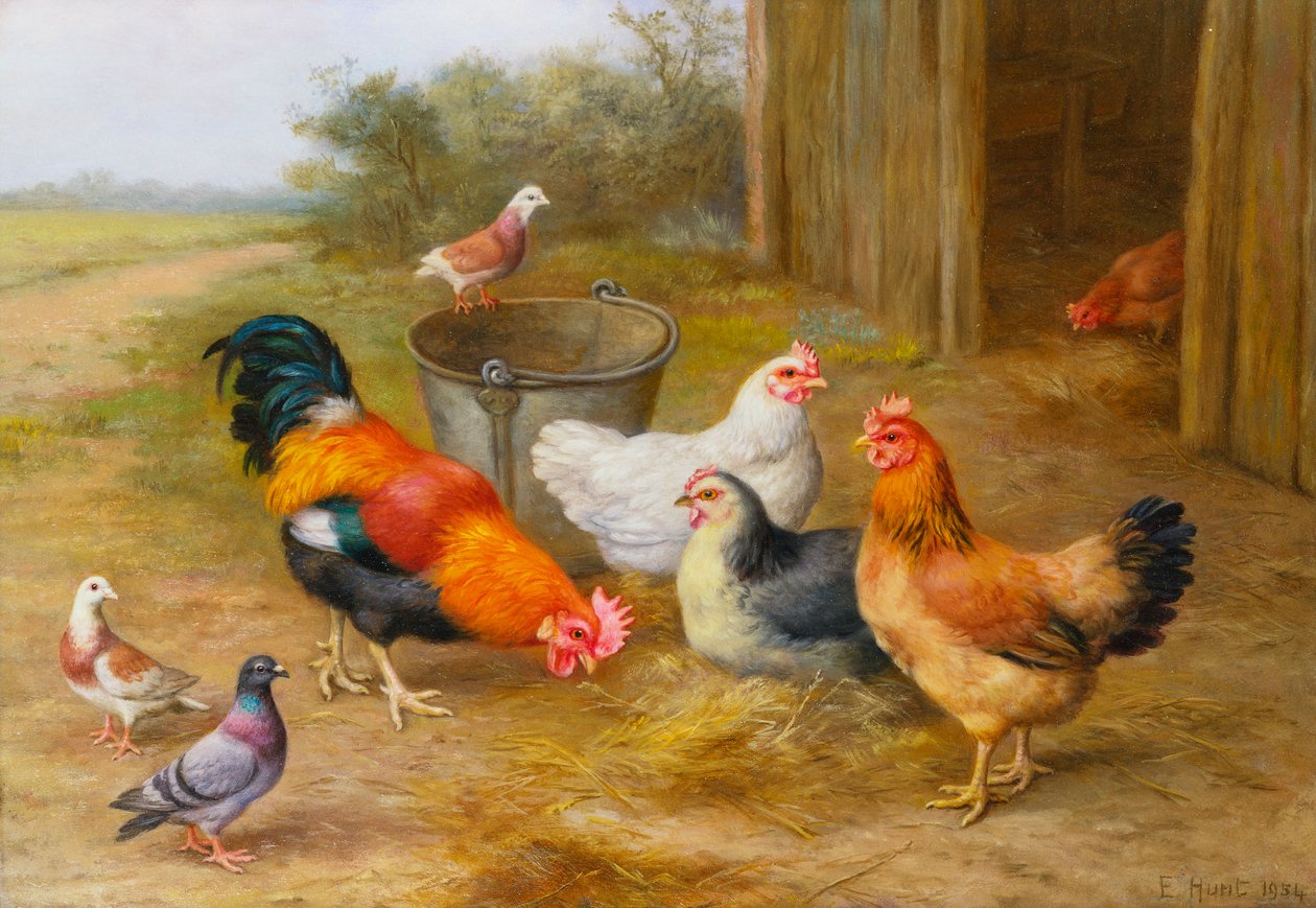 Gołębie i kury autorstwa Edgar Hunt