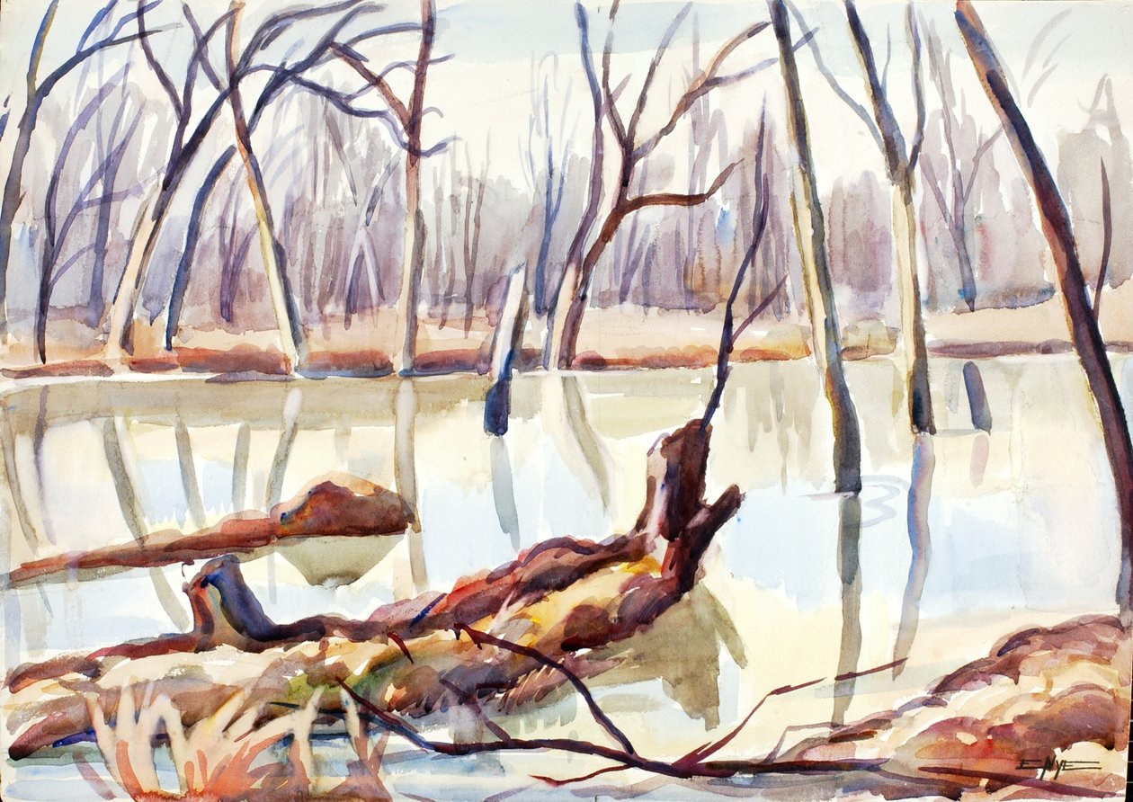 Rock Creek, Zima, ca. 1920-1929. autorstwa Edgar Nye