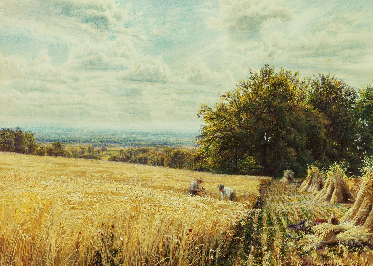 Żniwiarze, 1865 autorstwa Edmund George Warren