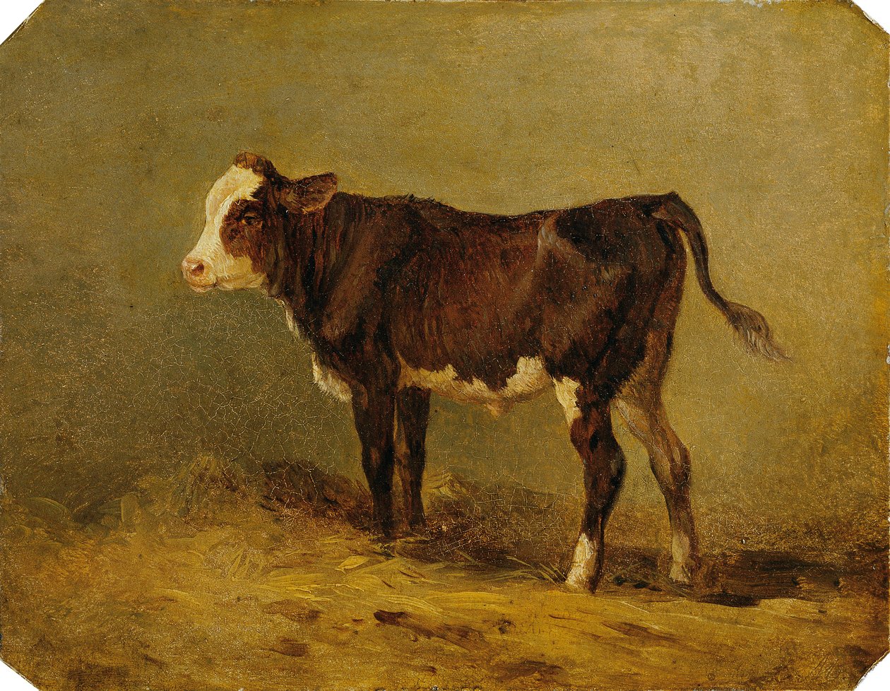 łydka autorstwa Edmund Mahlknecht