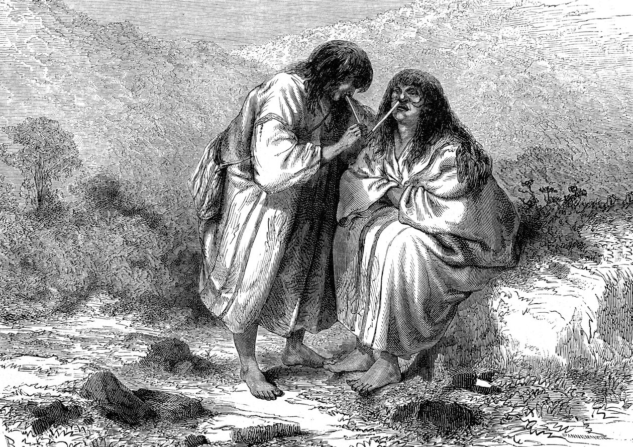 Indyjskie spodki tytoniowe, PERU w 1864 r autorstwa Edouard (after) Riou