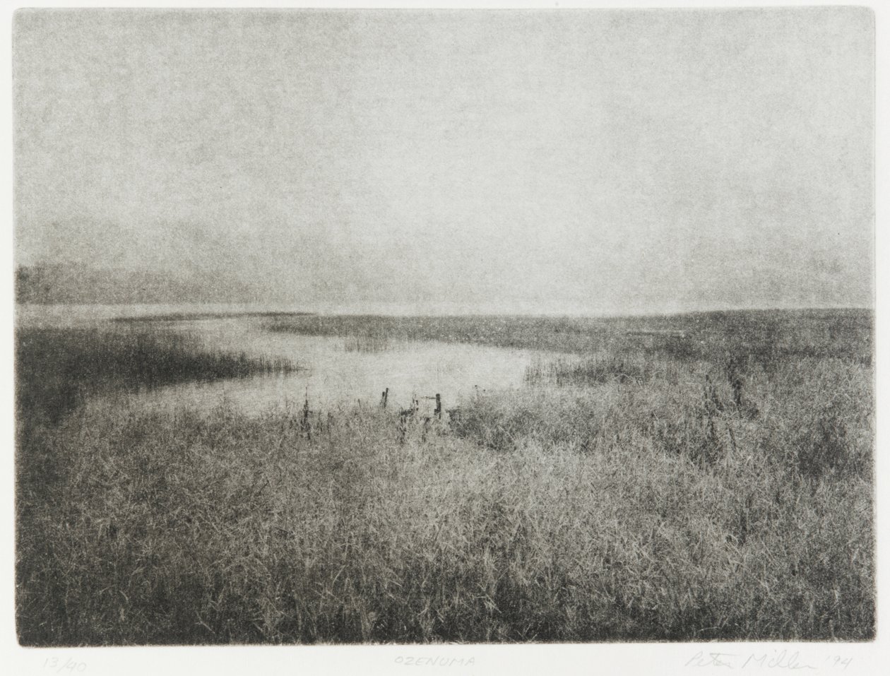 Ozenuma, 1994 autorstwa Edouard Cremieux