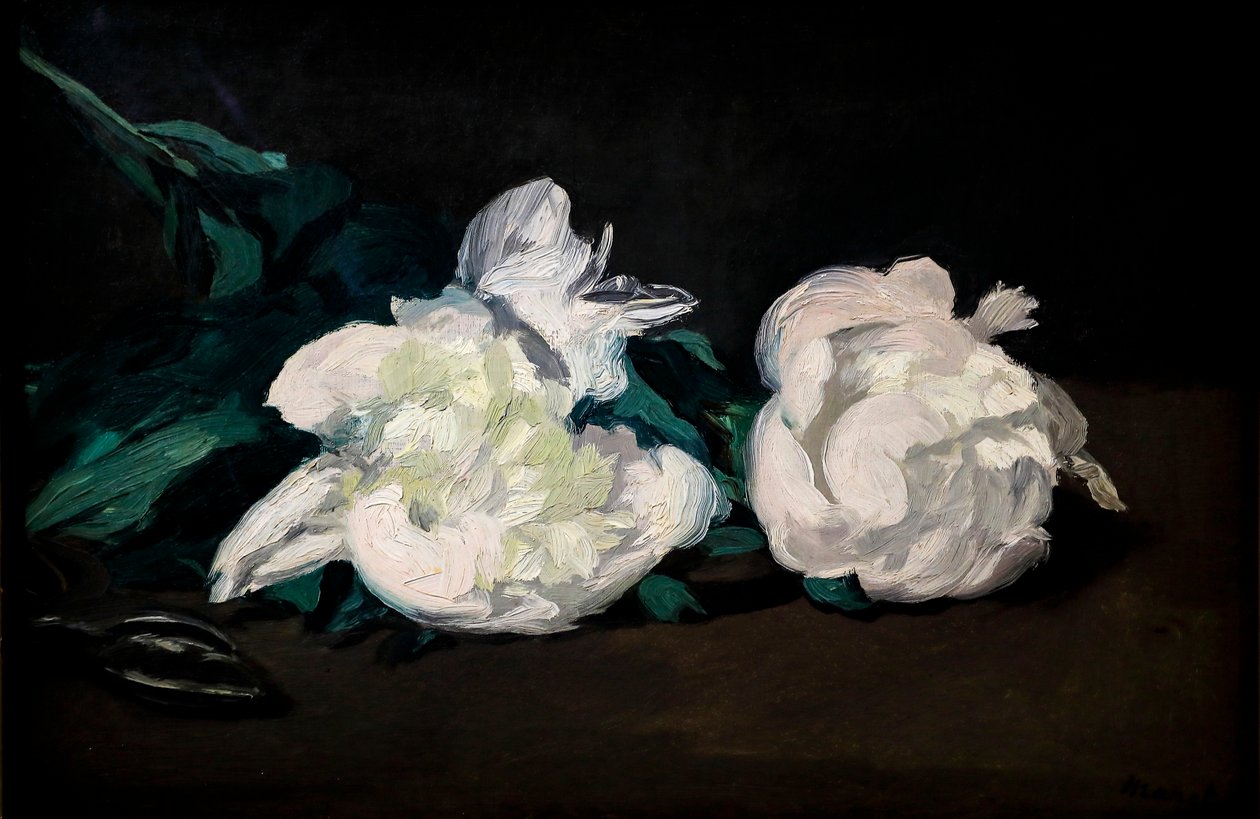 Gałąź białych piwonii i sekatorów autorstwa Édouard Manet