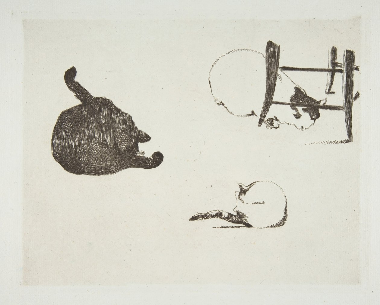 Koty, 1868-69. autorstwa Édouard Manet