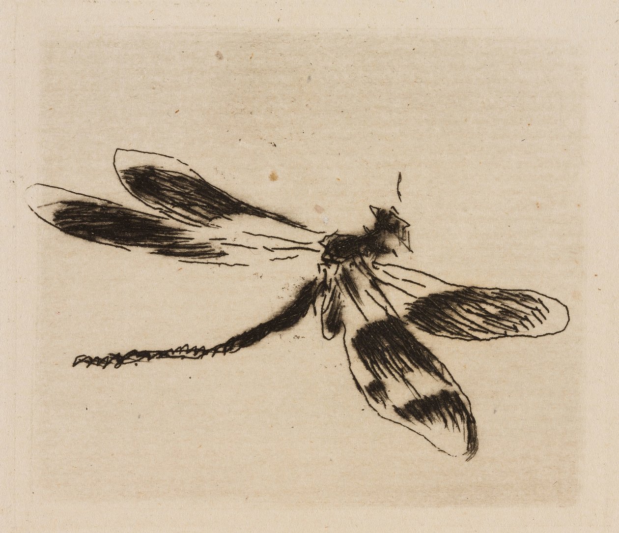 Dragonfly, płyta 1 z The River autorstwa Édouard Manet