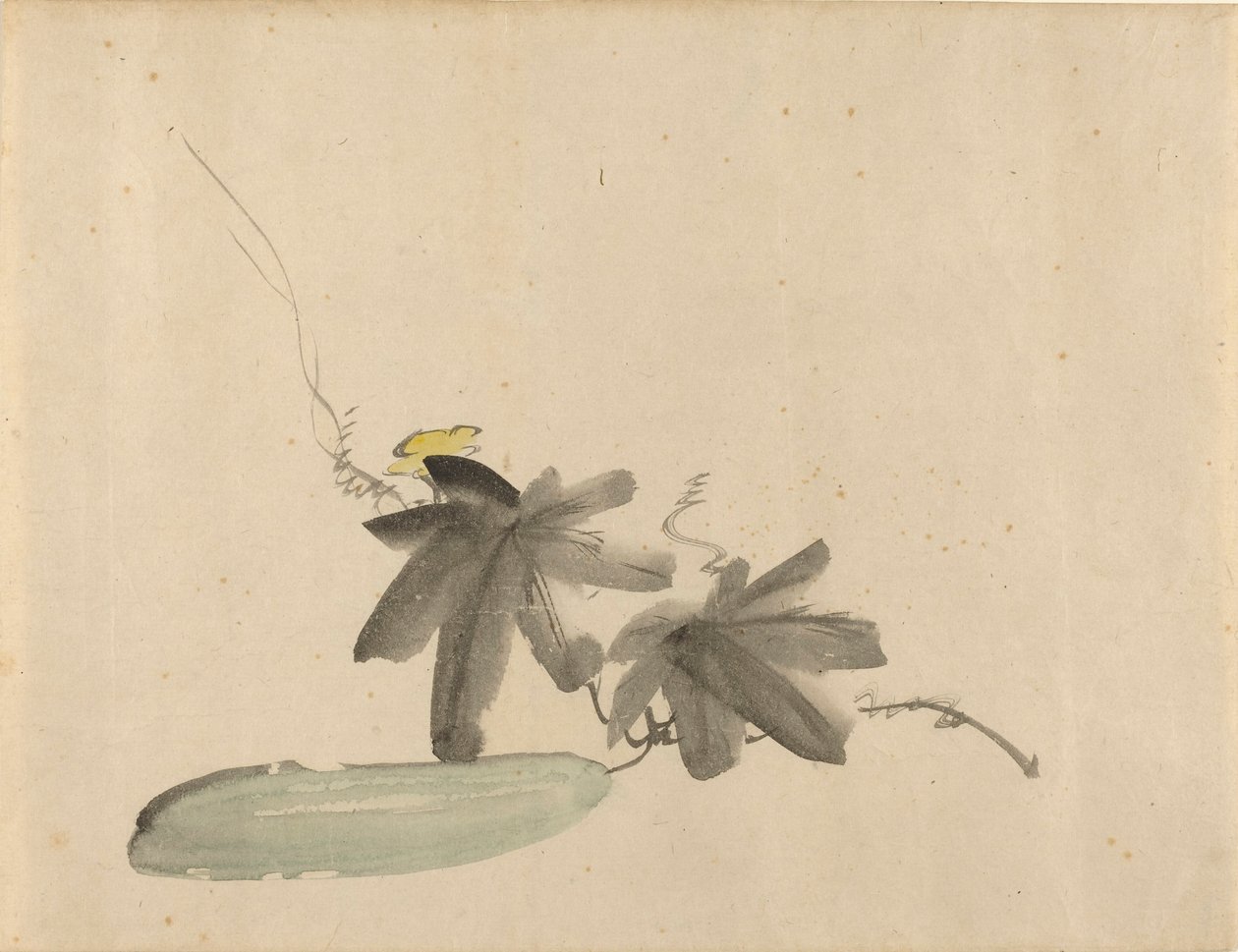 Manet - Ogórek z liśćmi, ok. 1880 r. autorstwa Édouard Manet