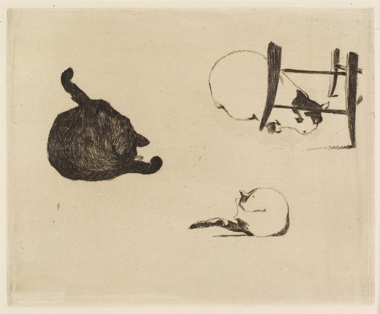 Koty, 1869 autorstwa Édouard Manet
