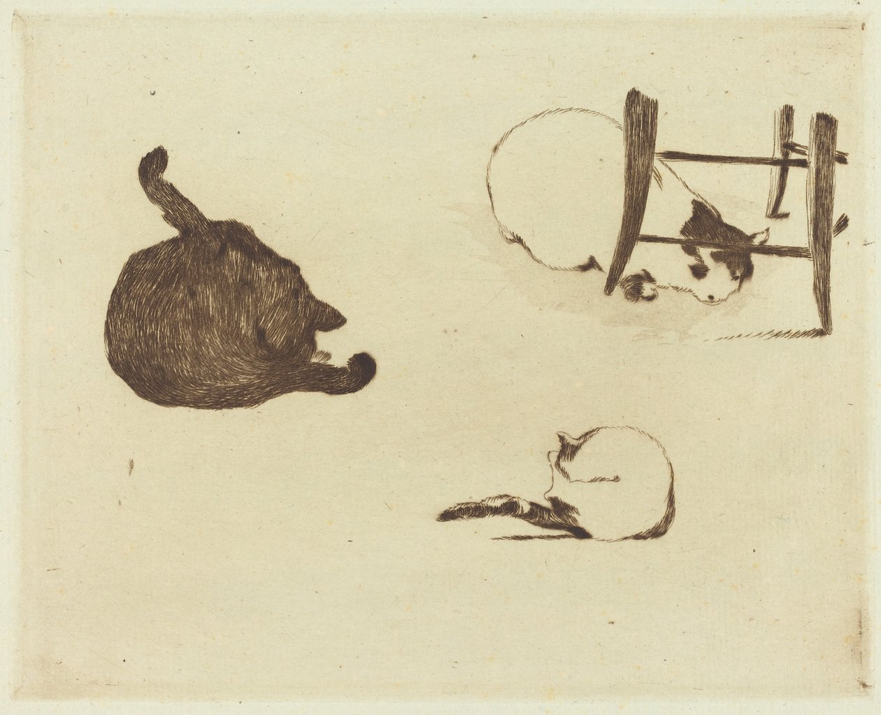 Czaty Cats Les, 1869. autorstwa Édouard Manet