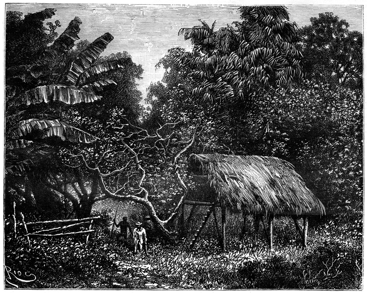 Gujana, Ameryka Południowa, XIX w. autorstwa Edouard Riou