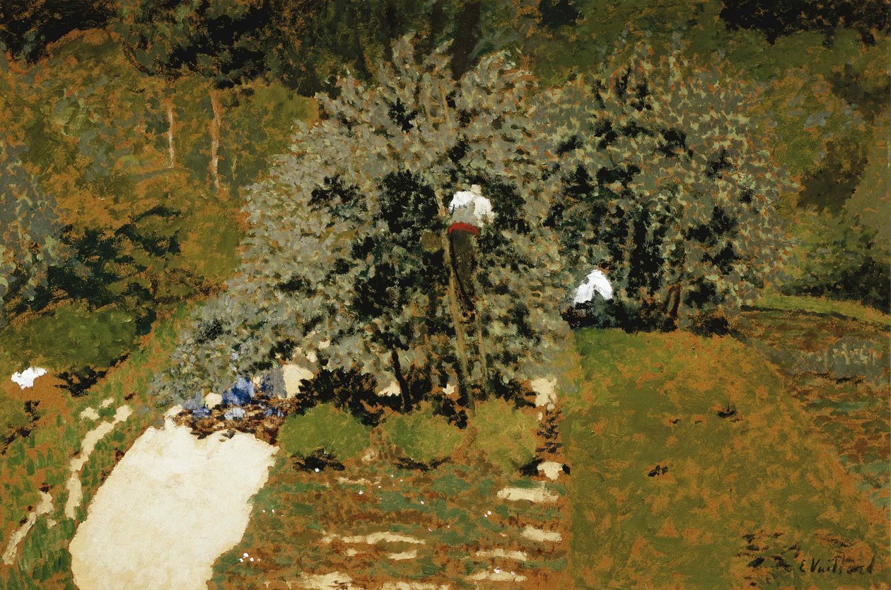 Zbieranie, 1899-1900. autorstwa Edouard Vuillard