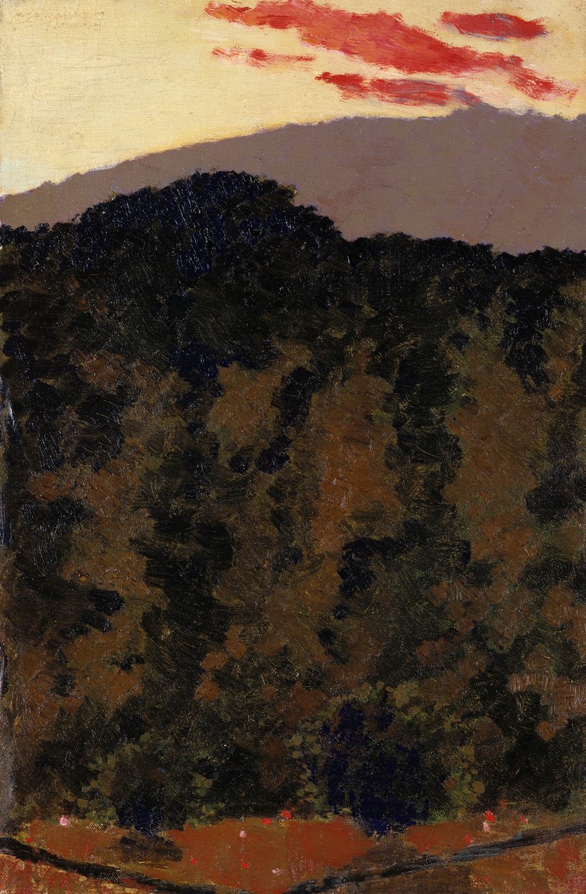 Krajobraz, ok. 1900 autorstwa Edouard Vuillard