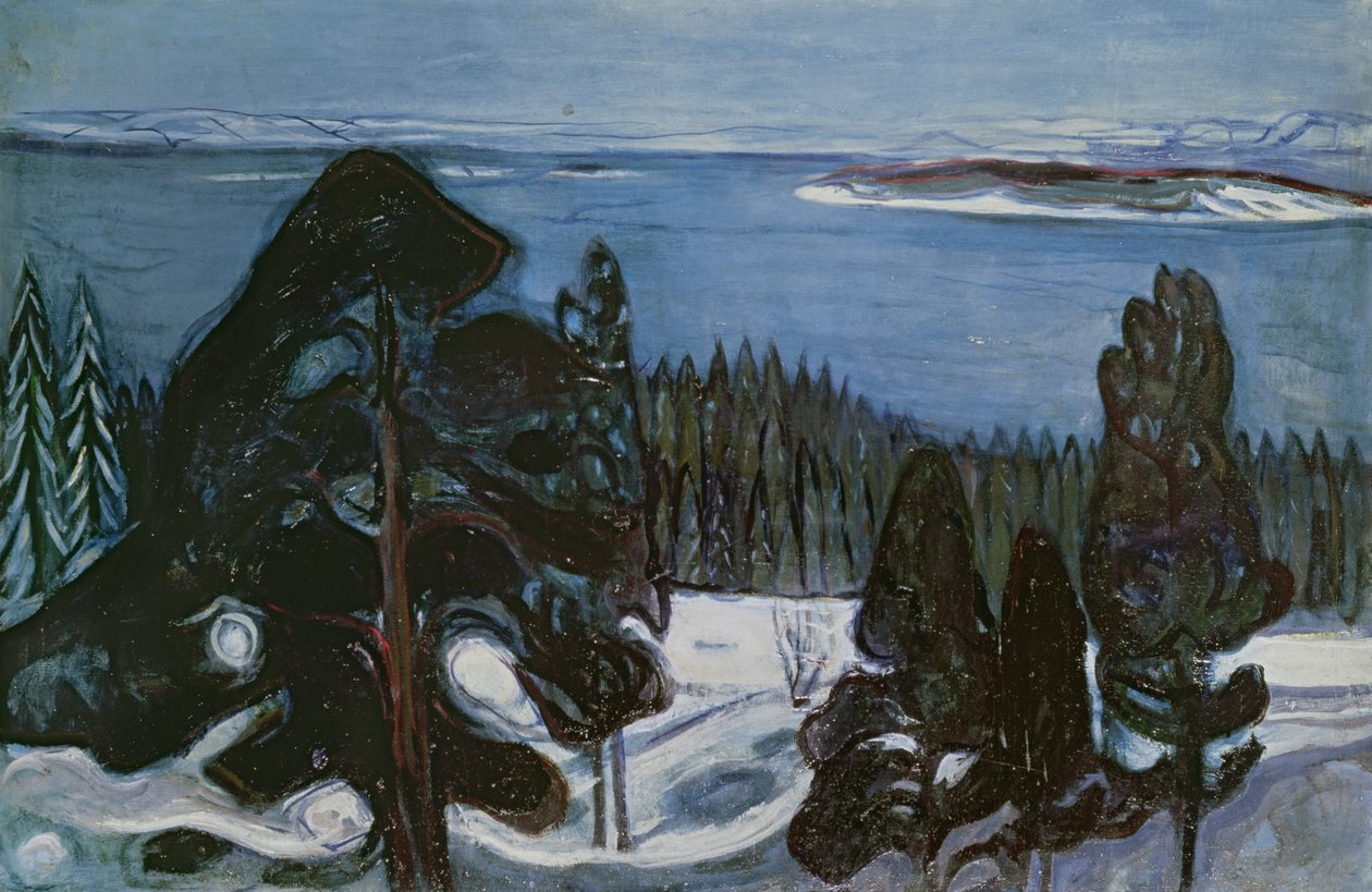 Zimowa noc, ok. 1900 r. autorstwa Edvard Munch