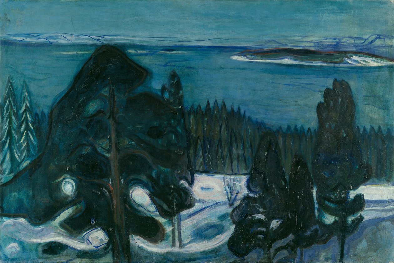 Zimowa noc autorstwa Edvard Munch