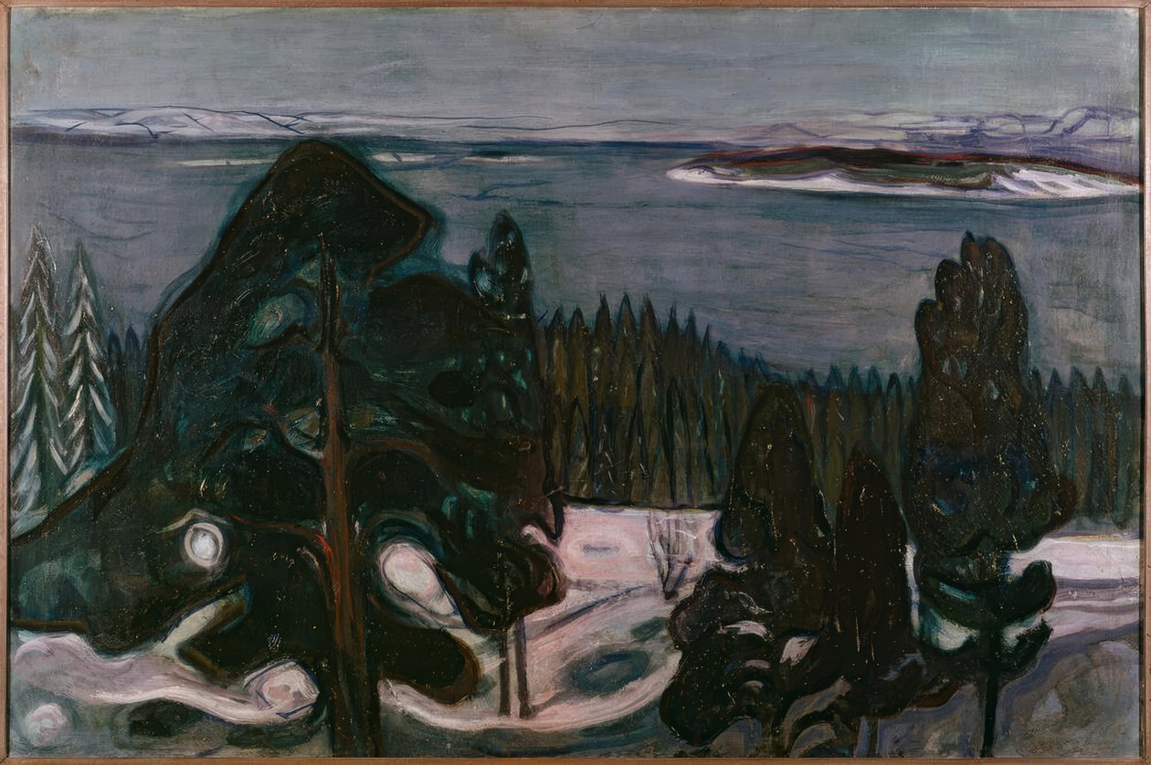 Zimowa noc autorstwa Edvard Munch