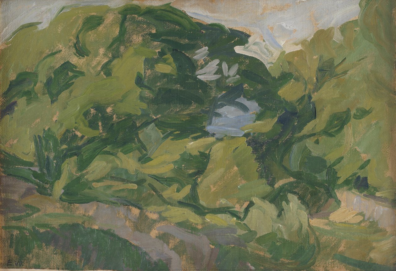 Krajobraz, Christiansø autorstwa Edvard Weie