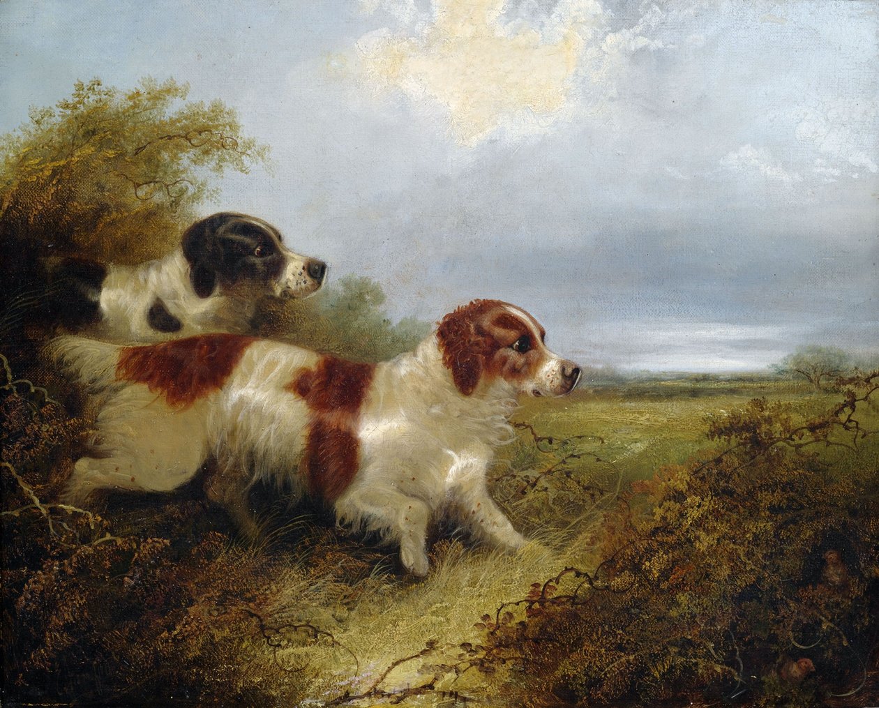 Dwa teriery autorstwa Edward Armfield