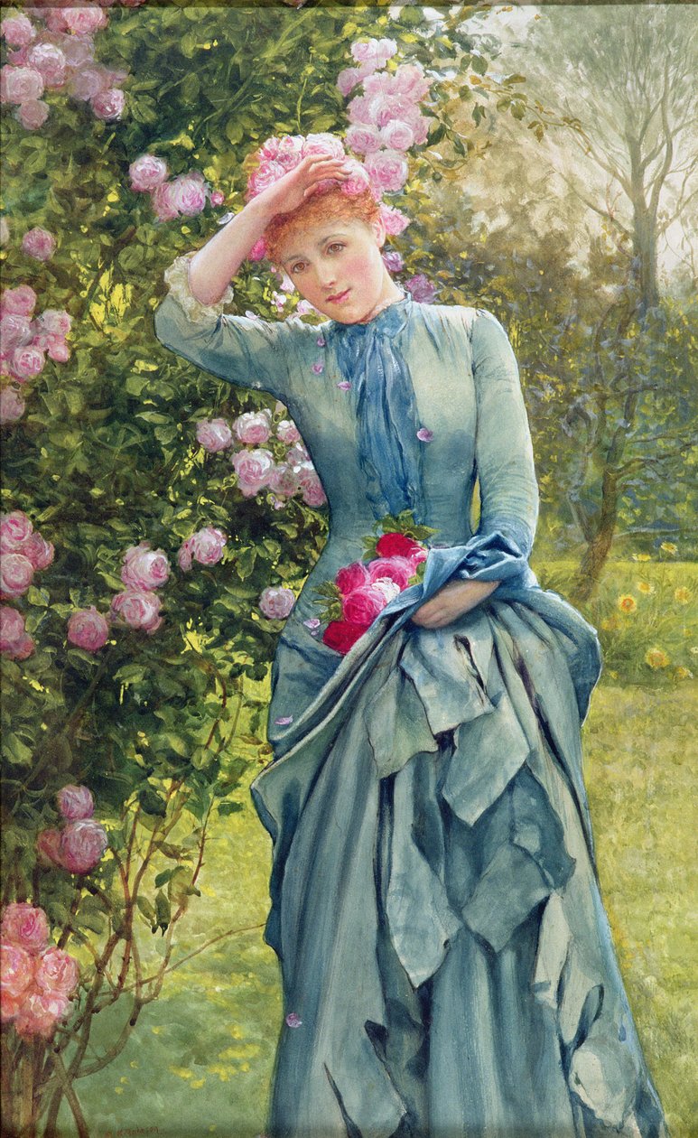 Gathering Roses, ok.1880 (akwarela na papierze) autorstwa Edward Killingworth Johnson