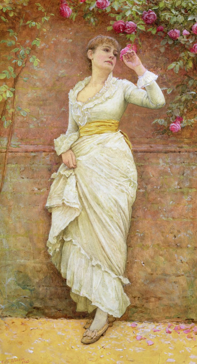 Róża autorstwa Edward Killingworth Johnson
