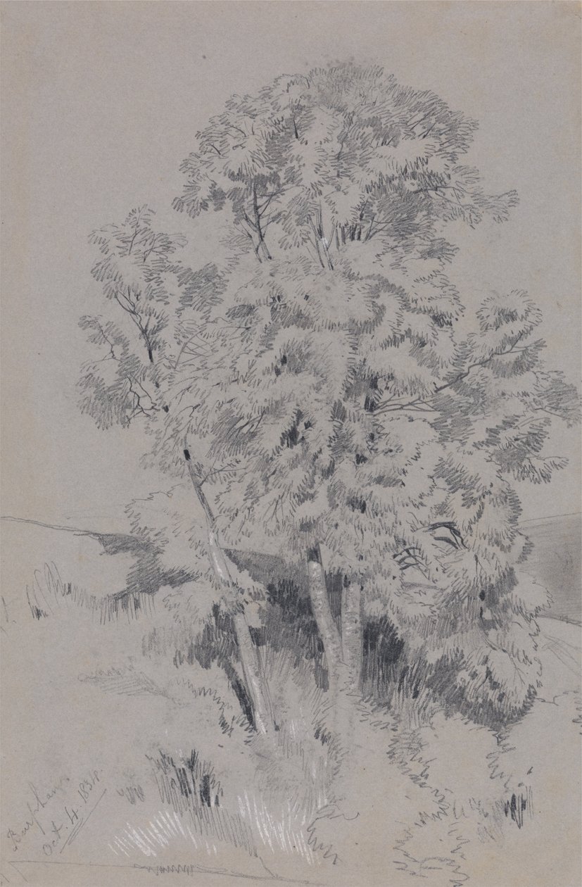 Burpham Październik 4.1834 autorstwa Edward Lear