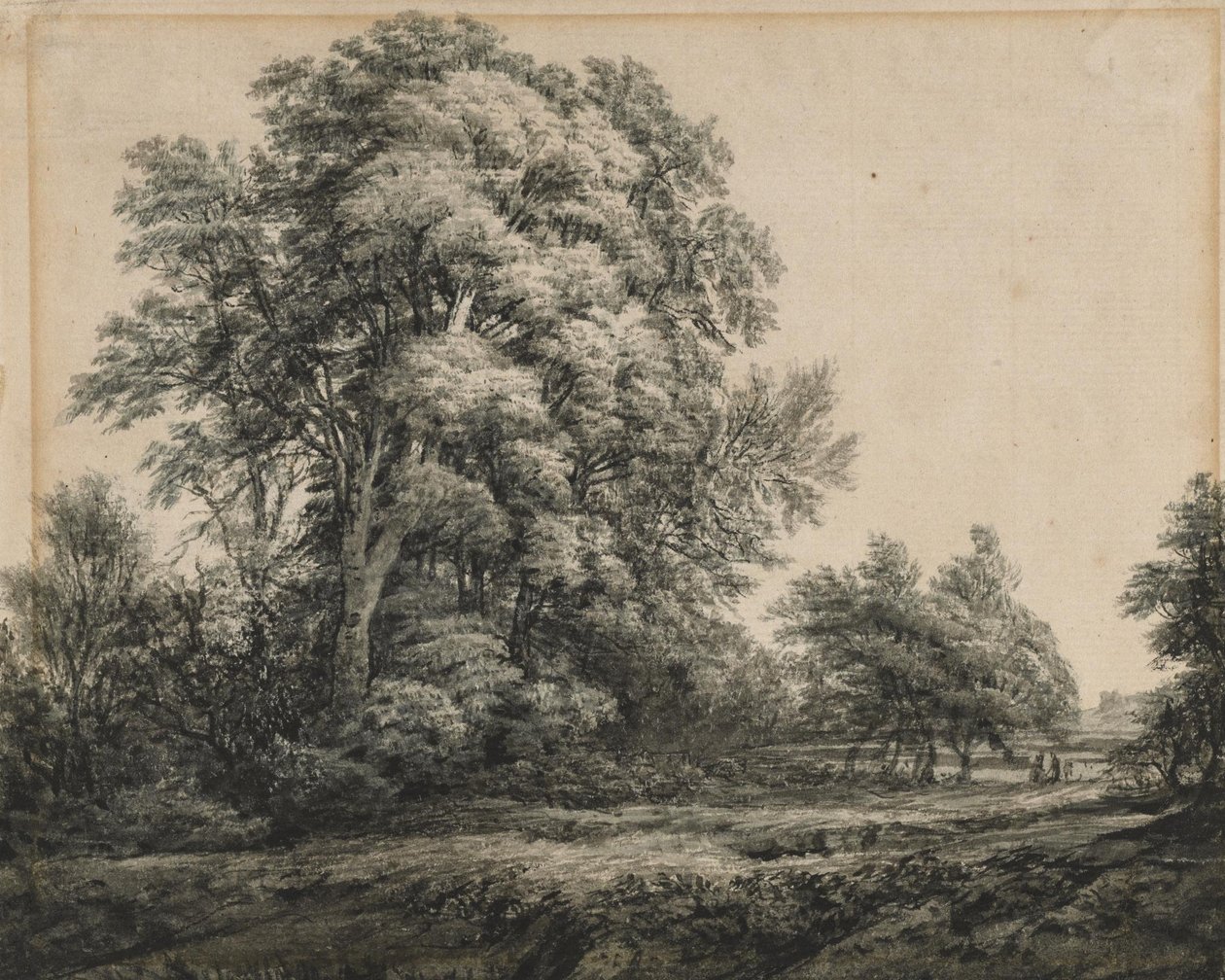 Krajobraz leśny autorstwa Edward Lear