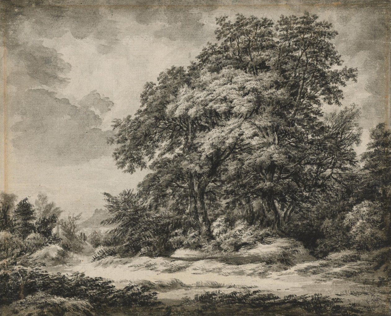 Krajobraz leśny autorstwa Edward Lear