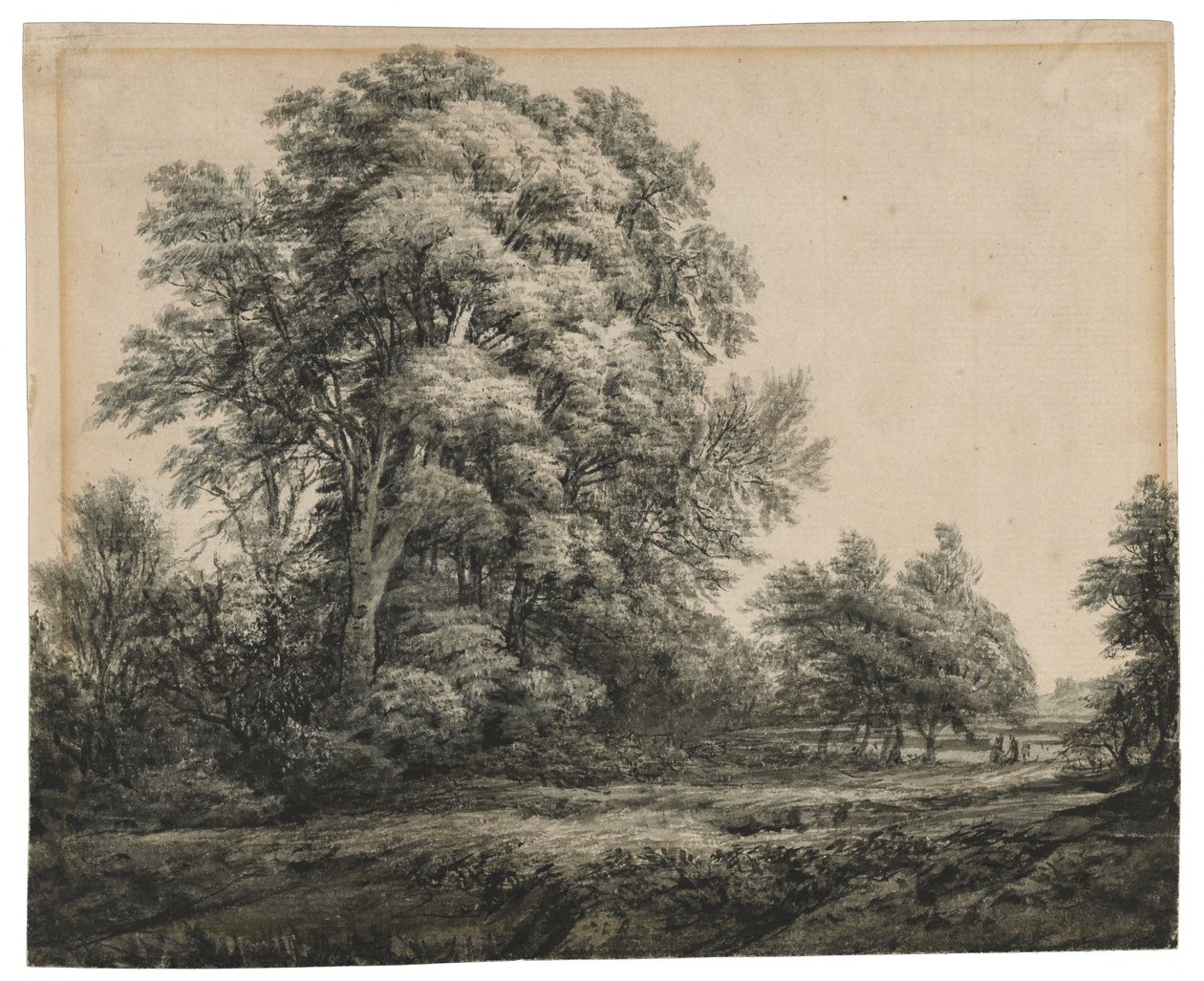 Krajobraz leśny, ok. 1838-1848 (tusz i wash na papierze czerpanym) autorstwa Edward Lear